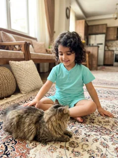 بسته 2 عددی ست تیشرت یقه ژاپنی و شلوارک بچه‌گانه بامشی رنگ آبی فیروزه ای