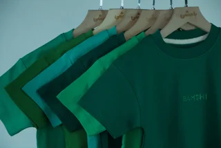 ست تیشرت و شلوارک بچه‌گانه بامشی مدل آریز بسته بندی دو عددی رنگ سبز روشن